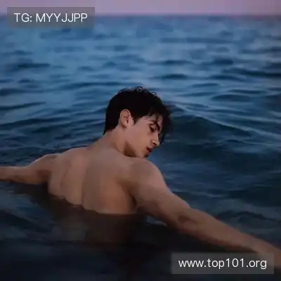 沈辉